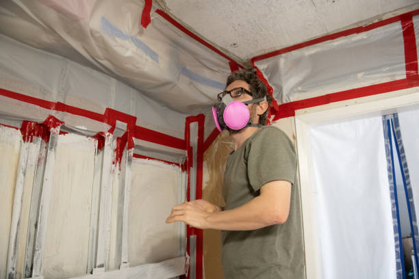 Reliable Upper Sandusky, OH Mold Removal Solutions